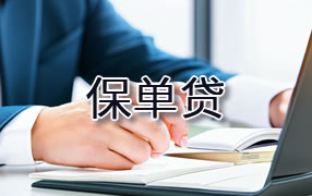 七台河保单贷